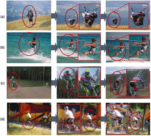 Leveraging Object Priors for Point Tracking